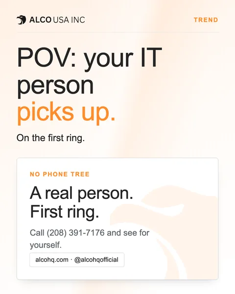 POV: your IT person picks up.