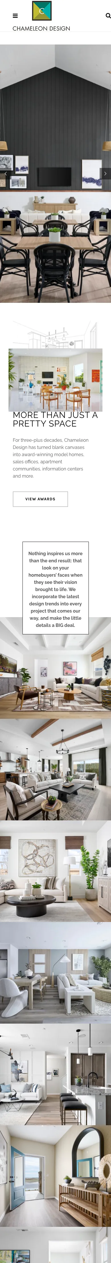 Chameleon Design website, phone view